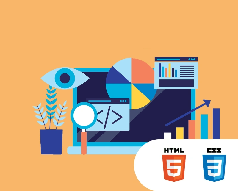 Junior Website-Entwickler